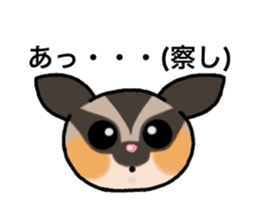JIJI of the Sugar Glider sticker #1651690