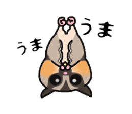 JIJI of the Sugar Glider sticker #1651691