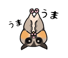 JIJI of the Sugar Glider sticker #1651691