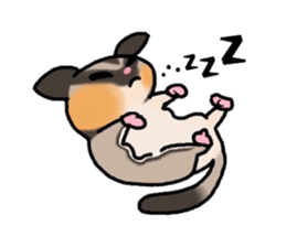 JIJI of the Sugar Glider sticker #1651692