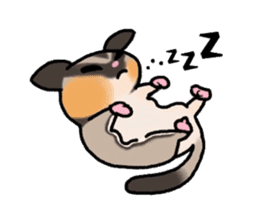 JIJI of the Sugar Glider sticker #1651692