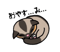 JIJI of the Sugar Glider sticker #1651693