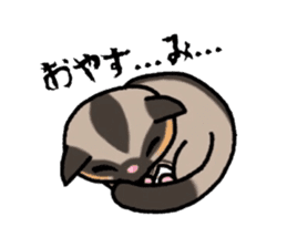 JIJI of the Sugar Glider sticker #1651693