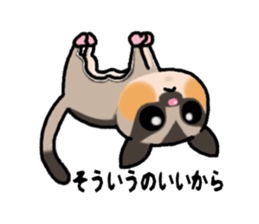 JIJI of the Sugar Glider sticker #1651695