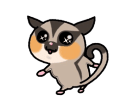 JIJI of the Sugar Glider sticker #1651696