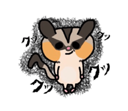 JIJI of the Sugar Glider sticker #1651697