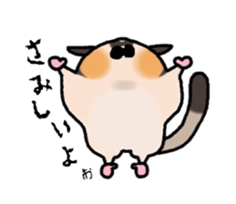 JIJI of the Sugar Glider sticker #1651698