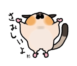 JIJI of the Sugar Glider sticker #1651698