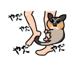 JIJI of the Sugar Glider sticker #1651699