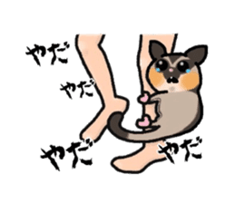 JIJI of the Sugar Glider sticker #1651699