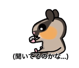 JIJI of the Sugar Glider sticker #1651701