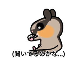 JIJI of the Sugar Glider sticker #1651701