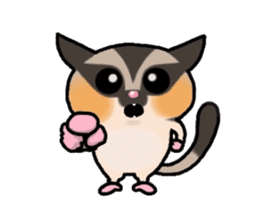 JIJI of the Sugar Glider sticker #1651704