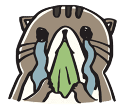 Katchup and Friends sticker #1658440