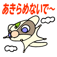 Gentle flying squirrel