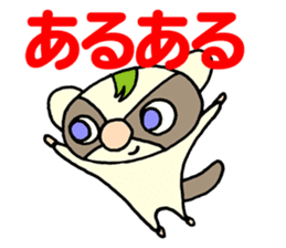 Gentle flying squirrel sticker #1660126