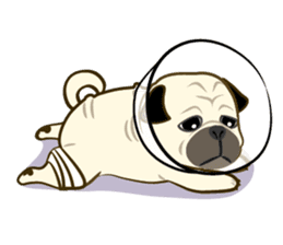 Ball loves or hates collection sticker #1662419