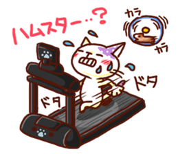 the pad of cat @ beauty sticker #1663308