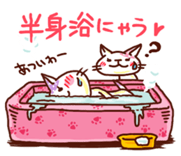 the pad of cat @ beauty sticker #1663342