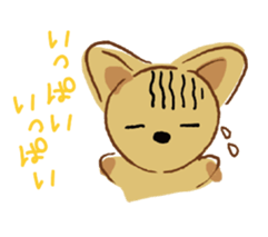 Message from dogs sticker #1667449