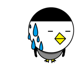 bangs Penguin sticker #1669830