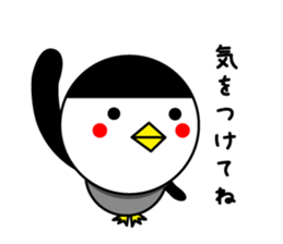 bangs Penguin sticker #1669853