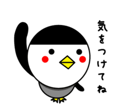 bangs Penguin sticker #1669853