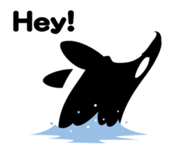 ORCAS ALL OVER!! (English Version) sticker #1669869