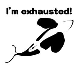 ORCAS ALL OVER!! (English Version) sticker #1669875