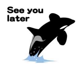 ORCAS ALL OVER!! (English Version) sticker #1669876