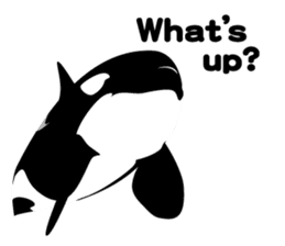 ORCAS ALL OVER!! (English Version) sticker #1669880