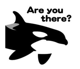 ORCAS ALL OVER!! (English Version) sticker #1669883