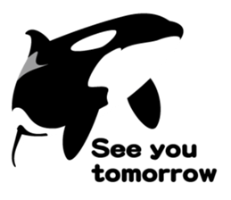 ORCAS ALL OVER!! (English Version) sticker #1669884