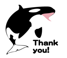 ORCAS ALL OVER!! (English Version) sticker #1669890