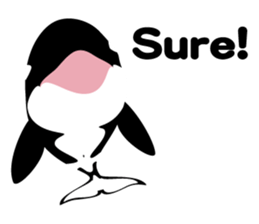 ORCAS ALL OVER!! (English Version) sticker #1669892