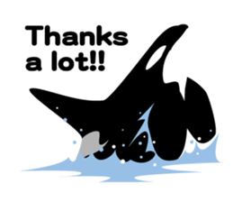 ORCAS ALL OVER!! (English Version) sticker #1669895