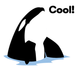 ORCAS ALL OVER!! (English Version) sticker #1669901