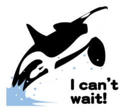 ORCAS ALL OVER!! (English Version) sticker #1669902