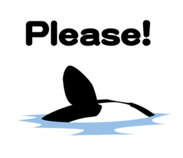 ORCAS ALL OVER!! (English Version) sticker #1669903