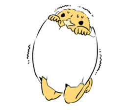 Baby chick Sticker sticker #1673402