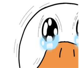 Intention of the duckmole sticker #1674158