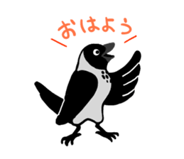 funny crows sticker #1677746