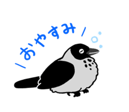 funny crows sticker #1677747