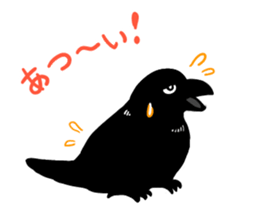 funny crows sticker #1677748