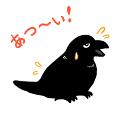 funny crows sticker #1677748