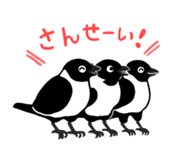 funny crows sticker #1677752
