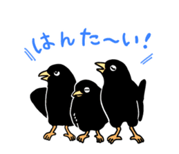 funny crows sticker #1677753