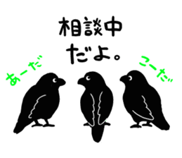 funny crows sticker #1677754
