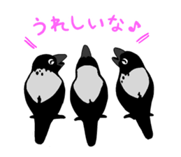 funny crows sticker #1677755