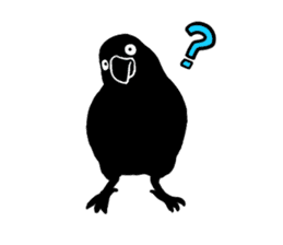 funny crows sticker #1677759